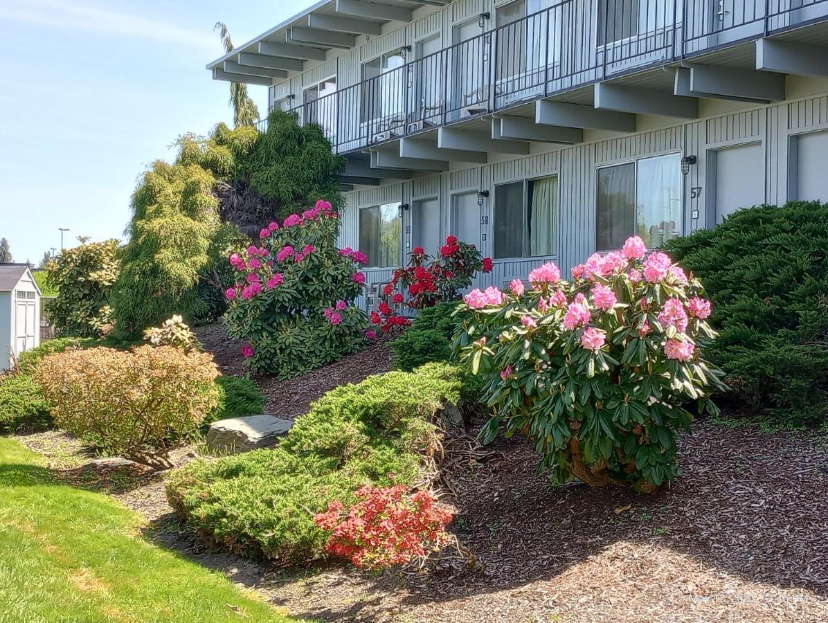 Cocusa Motel Burlington Eksteriør billede